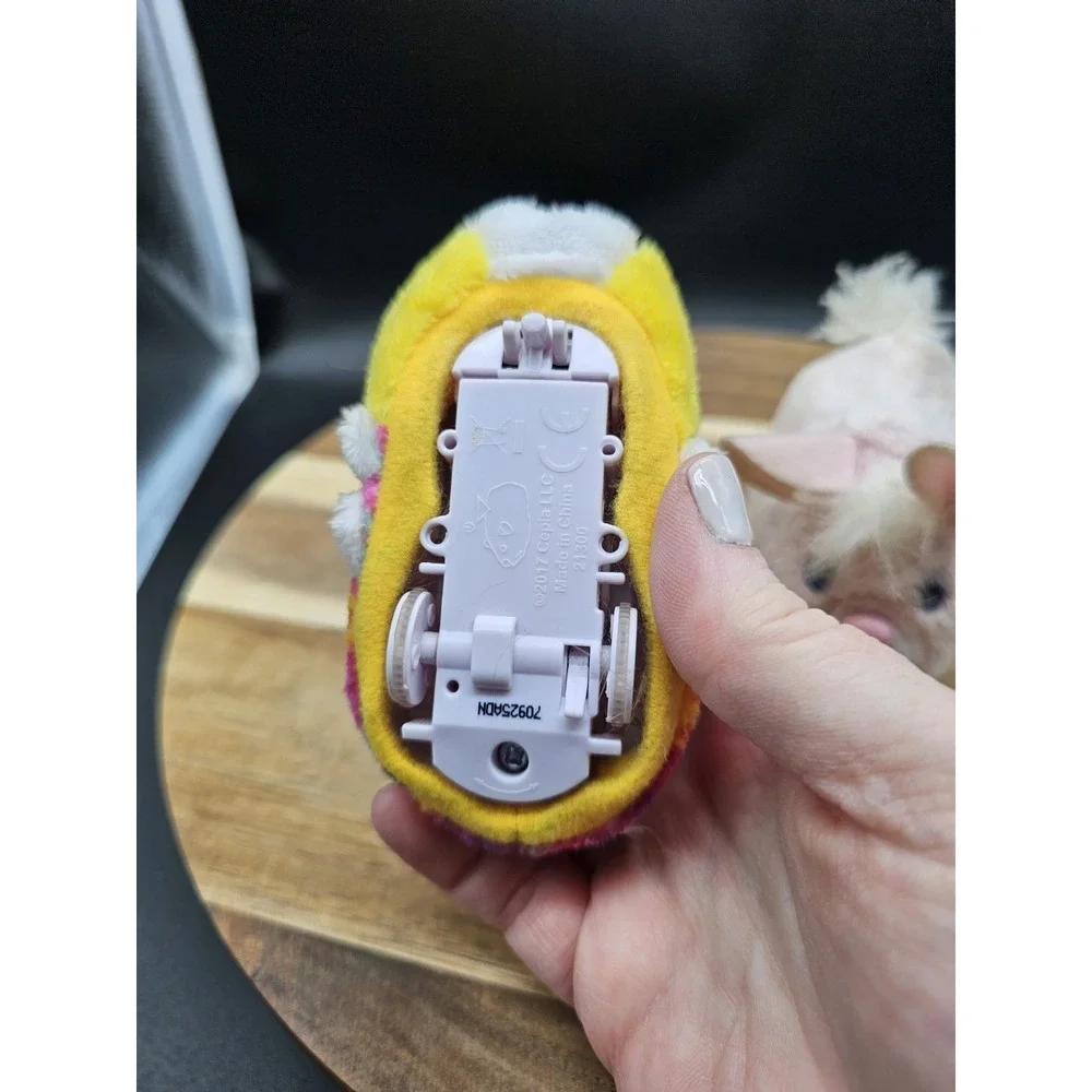N/A zhu pets
